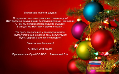 Поздравление Оренбургской областной организации ВЭП с Новым годом!